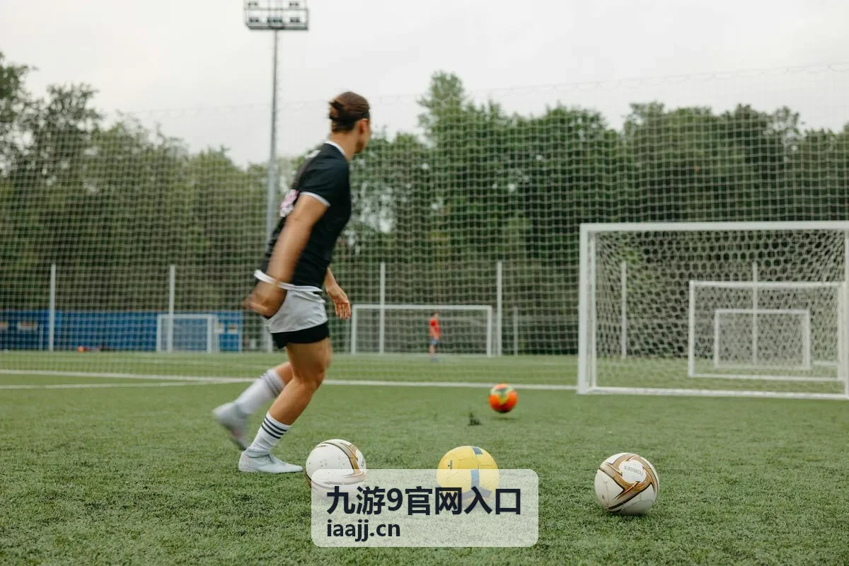 九游9官网入口导航分区